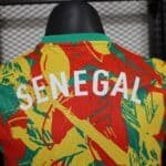 2024/2025 Player Version Senegal National Team Training Wear Football Shirt 1:1 Thai Quality - Image 8