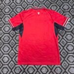 2026 Czech Republic National Team Home Football Shirt 1:1 Thai Quality - Image 2