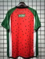 2025/2026 Club Deportivo Palestino Third away Football Shirt 1:1 Thai Quality - Image 2
