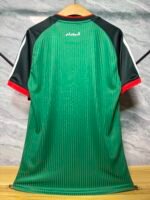 Player Version 2026-2027 Algeria  Away Green Soccer Jersey AAA - Image 2