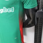 2026/2027 Player Version Palmeiras Home Jersey 1:1 Thai Quality - Image 9