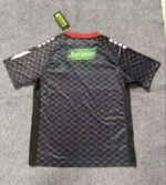 2025/2026 Club Deportivo Palestino Away Football Shirt 1:1 Thai Quality - Image 2