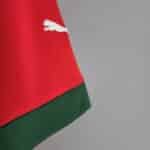 2022 FIFA World Cup Morocco National Team Home Shirt - Image 8