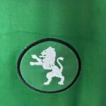 2024/2025 Sporting Lisbon 100th anniversary edition Football Shirt 1:1 Thai Quality - Image 6