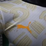 2024/2025 Player Version Côte d'Ivoire Away Football Shirt 1:1 Thai Quality - Image 3