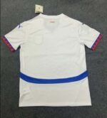 2024 Serbia National Team Away Football Shirt 1:1 Thai Quality - Image 2