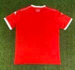2025 Tunisia National Team Home Football Shirt 1:1 Thai Quality - Image 2