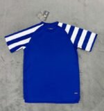 2024/2025 Porto Dragon Pre-race suit Football Shirt 1:1 Thai Quality - Image 2