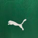 2025/2026 Palmeiras Home Jersey 1:1 Thai Quality - Image 5