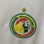 2024/2025 Senegal National Team Home Football Shirt 1:1 Thai Quality - Image 6