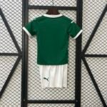 2025/2026 Palmeiras Home Jersey 1:1 Thai Quality Kids Size - Image 2