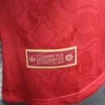 2024/2025 Player Version Long Sleeve Bayern Munich 125th Anniversary Edition Football Shirt 1:1 Thai Quality - Image 9