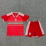 2026 Wales Home Football Shirt 1:1 Thai Quality Kids Size