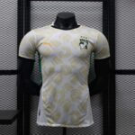 2024/2025 Player Version Côte d'Ivoire Away Football Shirt 1:1 Thai Quality