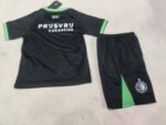 2024/2025 Feyenoord Rotterdam Away Football Shirt1:1 Thai Quality Kids Size - Image 2
