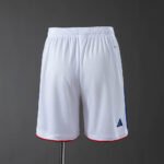 2026 Japan Home Shorts Football Shirt 1:1 Thai Quality - Image 2