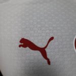 2025/2026 Player Version Galatasaray Away Football Shirt 1:1 Thai Quality - Image 5