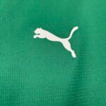 2026/2027 Palmeiras Home Jersey 1:1 Thai Quality - Image 5