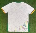 2026 Cameroon Away Football Shirt 1:1 Thai Quality - Image 2