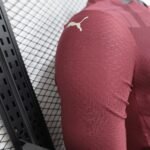 2024/2025 Long Sleeve Player Version Manchester City Third Away Football Shirt 1:1 Thai Quality - Image 3