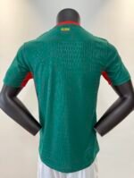 Player Version 26-27 Senegal Home Green Soccer Jersey AAA - Image 2