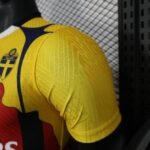 2025/2026 Player Version Ibrahimović Personal Commemorative Edition Soccer Jersey 1:1 Thai Quality - Image 6