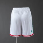 2026 Mexico National Home Shorts 1:1 Thai Quality - Image 2