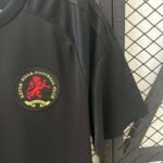 2025/2026 Aston Villa 125th Anniversary Edition Football Shirt 1:1 Thai Quality - Image 7