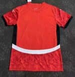 2024/2025 Egypt National Team Home Football Shirt 1:1 Thai Quality - Image 2