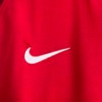 2016 Retro Long Sleeve Portugal Home Football Shirt 1:1 Thai Quality - Image 5
