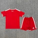2026 Wales Home Football Shirt 1:1 Thai Quality Kids Size - Image 2