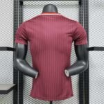 2024/2025 Player Version Bayern Munich Special Edition Football Shirt 1:1 Thai Quality - Image 2