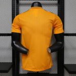 Player Version 26-27 Côte d'Ivoire Orange Soccer Jersey AAA - Image 2