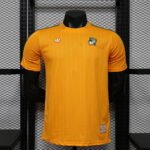 Player Version 26-27 Côte d'Ivoire Orange Soccer Jersey AAA