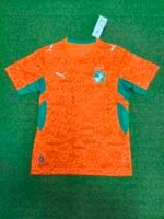 2026-27 Côte d'Ivoire Home Orange  Soccer Jersey AAA