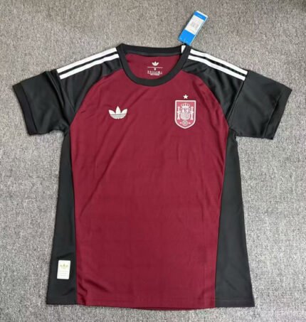 2026-2027 Spain Goalkeeper Black Red Soccer Jersey AAA