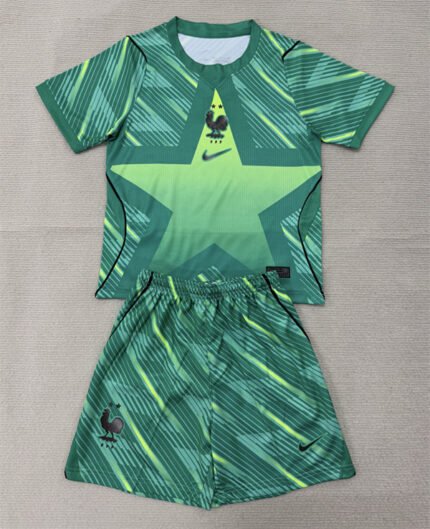 2026-2027 France Goalkeeper Green Soccer uniform