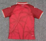 Player version 2026-2027 Haiti 2nd Away Red Soccer Jersey AAA - Image 2
