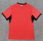 Player version 2026-27 Stade Rennais  Home  Red  Soccer Jersey AAA - Image 2