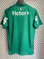 2026-2027 Palmeiras Home Green Soccer Jersey AAA - Image 2