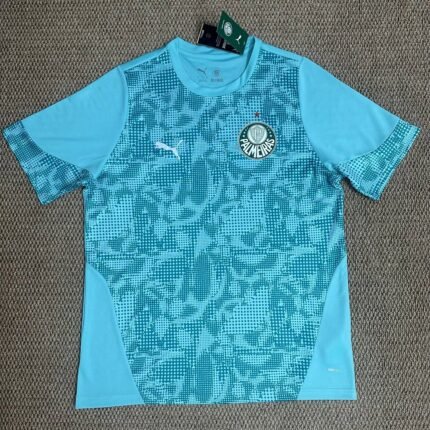 2026-2027 Palmeiras Blue Soccer Jersey AAA