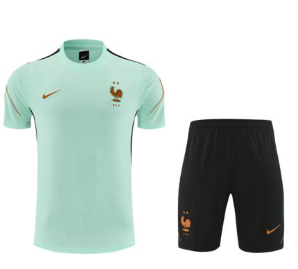 2026-27 France Light Green Soccer Uniform
