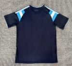 2026-2027 Argentina  Blue Soccer Jersey AAA - Image 2