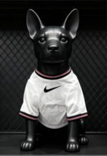 2026-2027 England Home White Pet Jersey