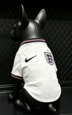 2026-2027 England Home White Pet Jersey - Image 2